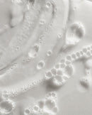 Echoes of the Earth Body Cleanser